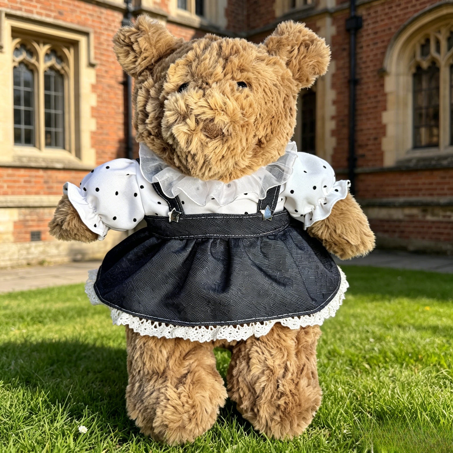 Bartholomew bear cute clothes outfits -Classic Lace & Apron — image 1 of 2